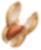 A close-up image of a peanut with its shell partially opened, revealing the kernel inside.