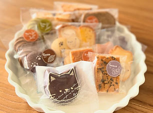 image_123650291 (8).JPG