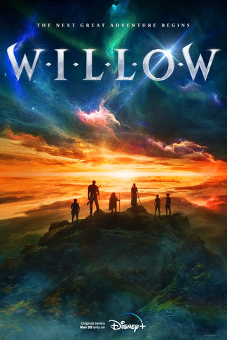 p_disney_willow_789_1017a843.jpeg