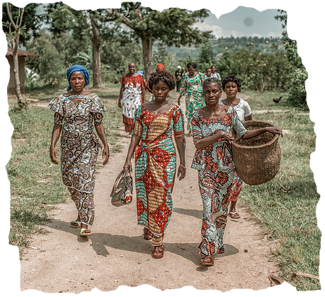 Kivu coops-03.png