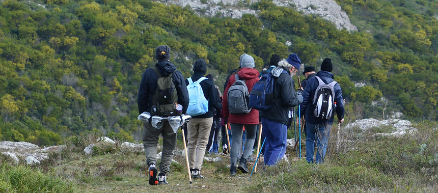 Unidades y Programas