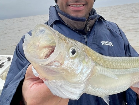 Campeonato de pesca “Pejerrey en el Artigas”