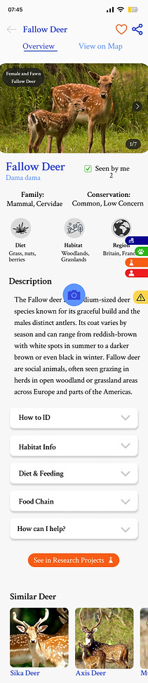 Wildlife Info_ Fallow Deer_edited.jpg