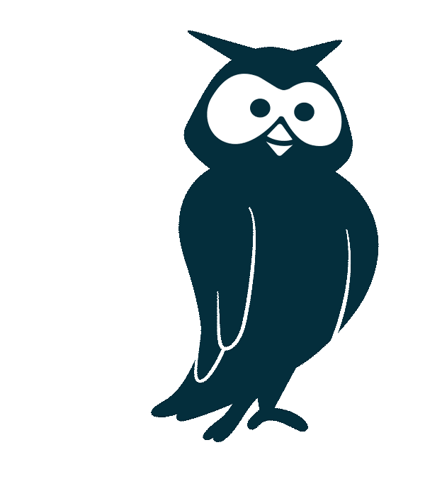 Owly-character-wink-nudge-nocturn.gif