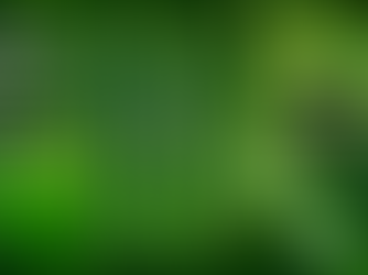 ההבדלים במערכת האנדוקנבינואידית של נשים וגברים