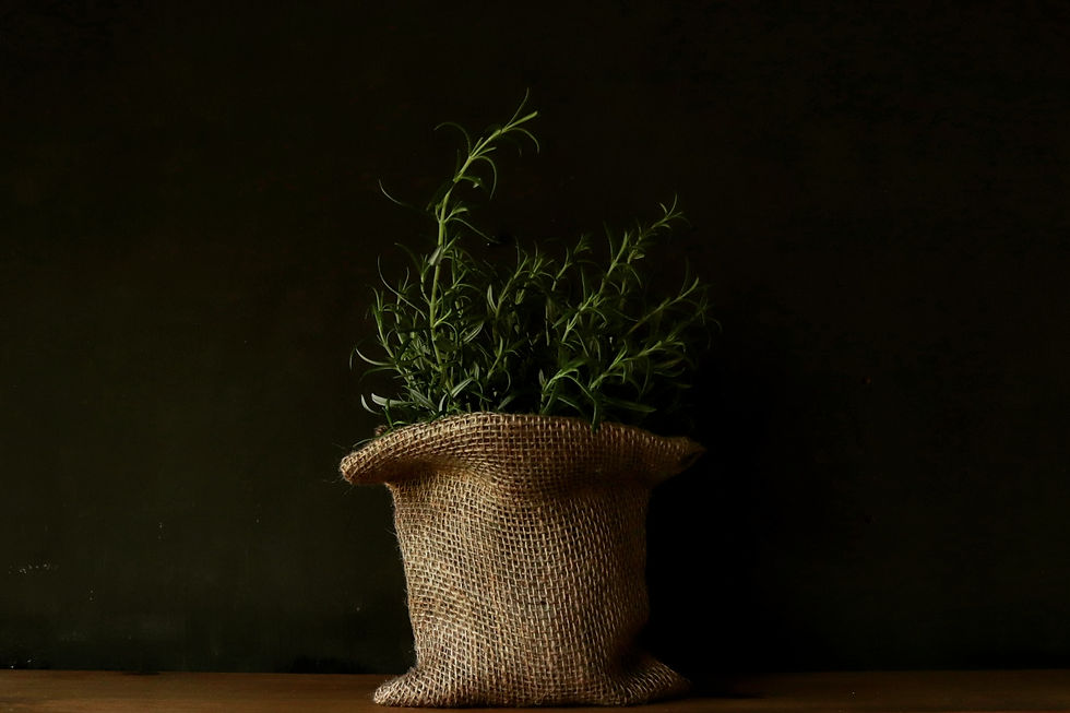Thumbnail: Eco Plant Sack