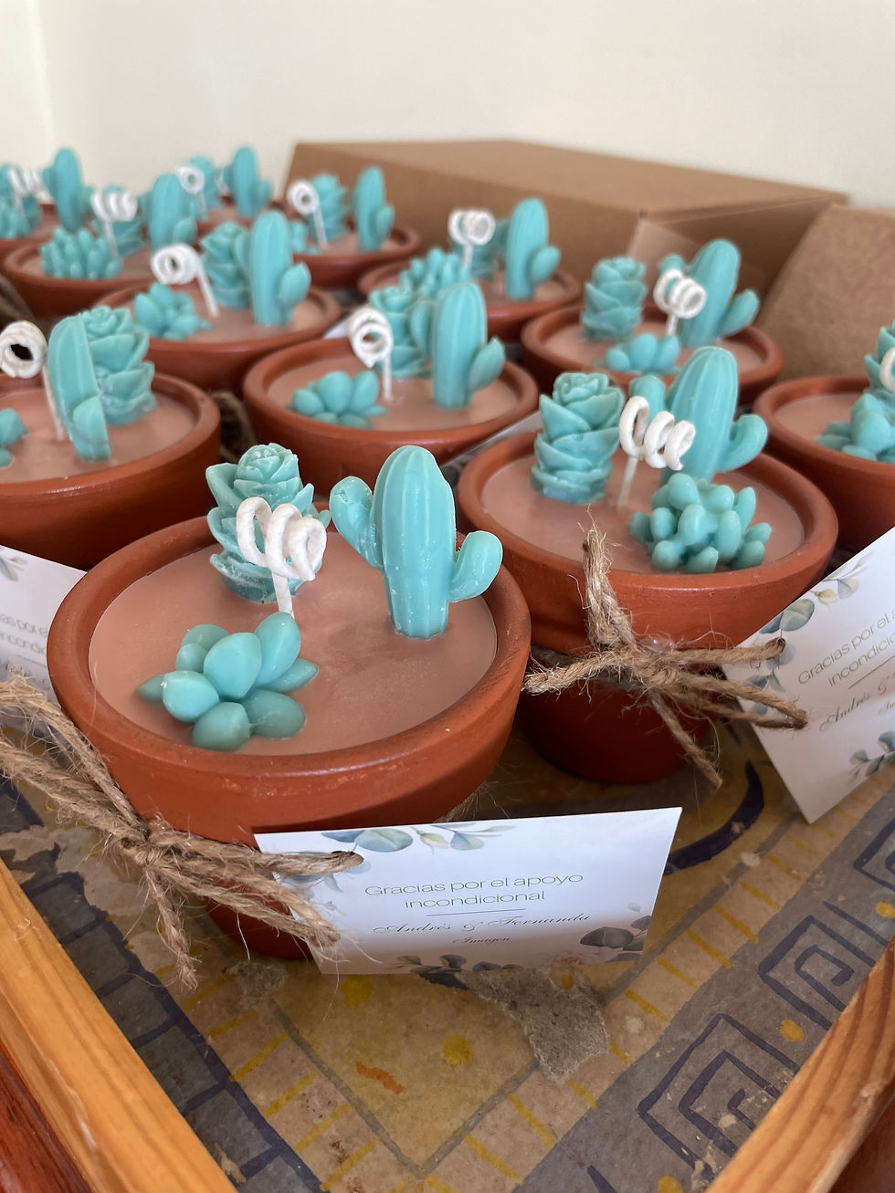 Aycha Recuerdos de cactus