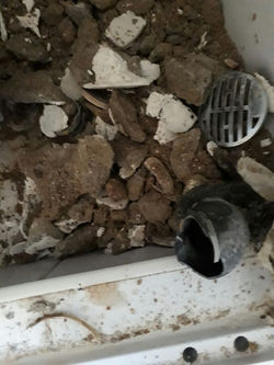 IMG-20180620-WA0079