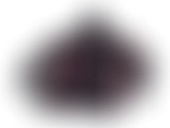 Custom Quick-Dry Hoodies for Providahz Kauai.