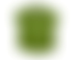 Custom Aloha Shirts for Shriners Children's Hawaii and The Polynesian Bowl.