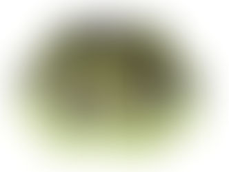 Custom Quick-Dry Long Sleeve T-Shirts for Providahz Kauai.