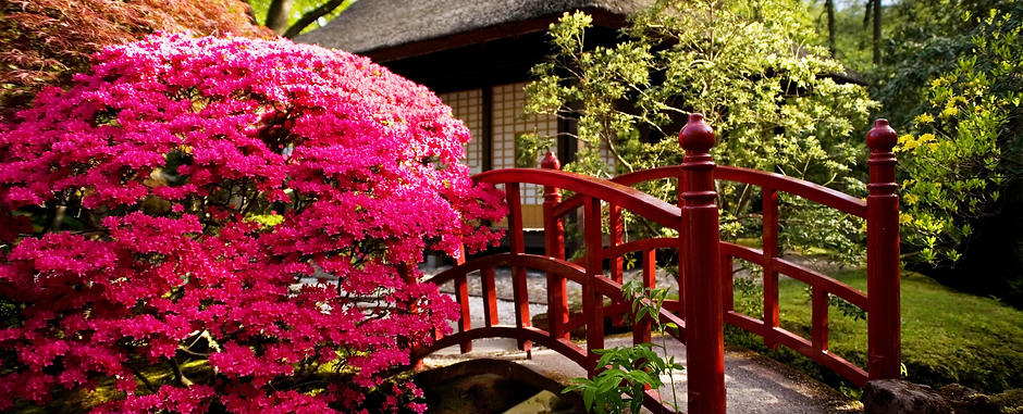 garden.webp