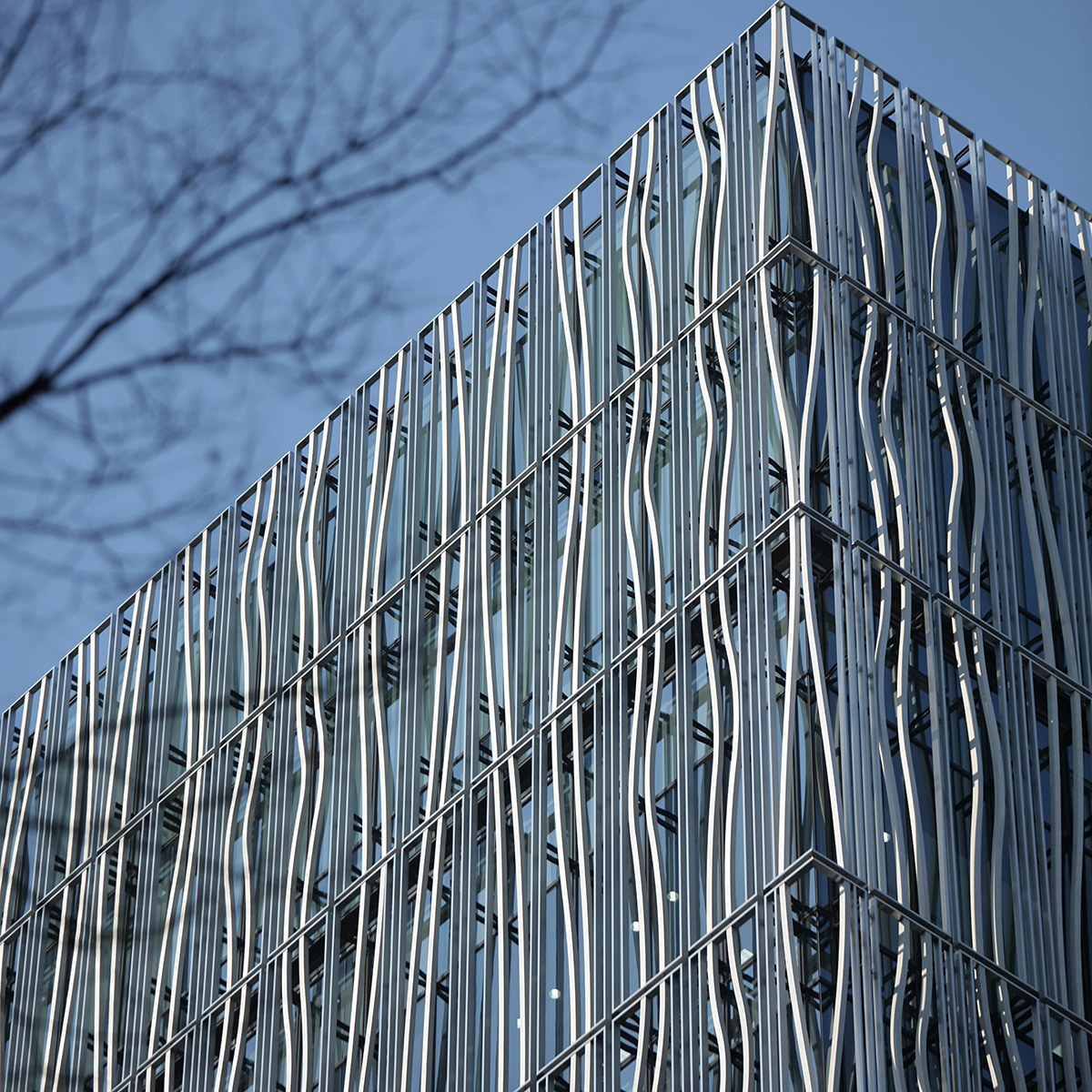Ginza-Chuo-ku