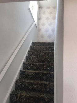 36620592_248847395701651_205530690672918