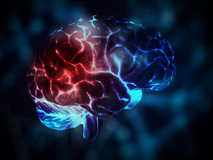 Neurohacking: Is the Human Brain the New Attack Surface?