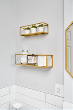 Screenshot 2024-05-24 at 12.16.26 PM.png