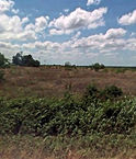 hopewell.jfif