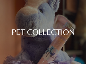 MEN’S COLLECTION.png