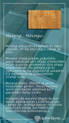 11- movengi.jpg