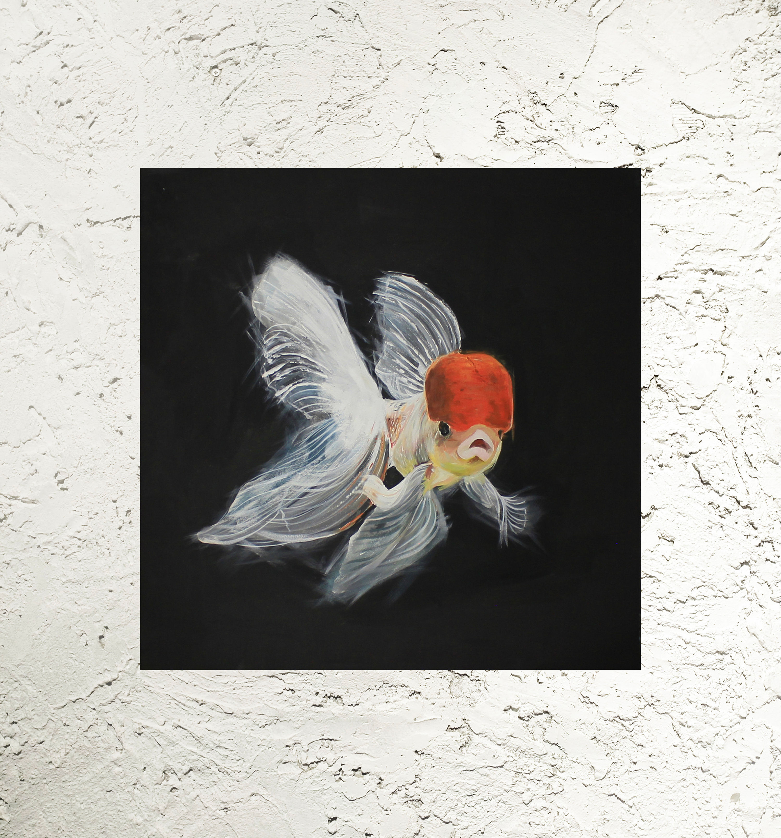 Anima Serisi - Japon Balığı