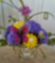 Picasa - 20150511_160644.jpg