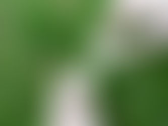 From pandemic to partnership