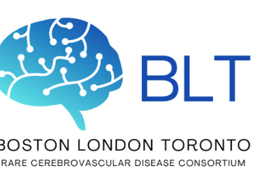 Highlights from Virtual Moyamoya Day 2023: Advancing Research, Treatment, and Collaboration