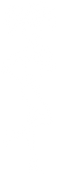 Syd Showgirl Motif