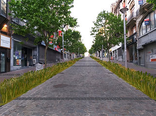 RUE-MONTAGNE.jpg