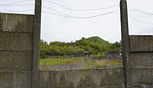 DSC02361.JPG