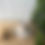 Thumbnail: Short Holder
