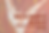 Copy of APM Banner 2 24-25 (Label)