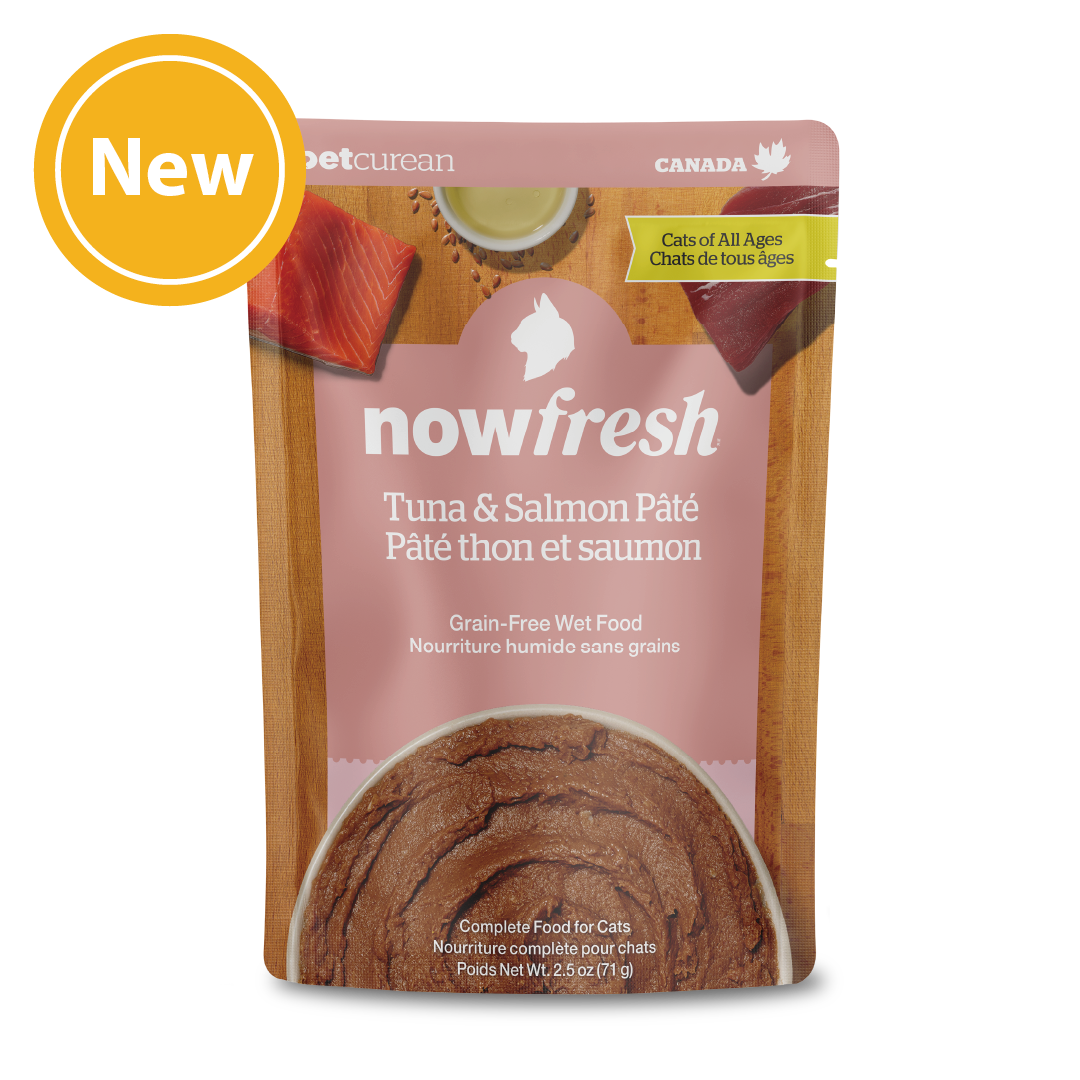 Nowfresh 全年齡貓 吞拿魚及三文魚肉醬包