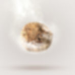ZIWI 3D - Steam Dried - Cat product render - VFX_edited.jpg