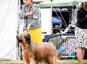 DSC02347_edited.jpg