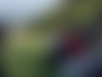 speakers for wedding