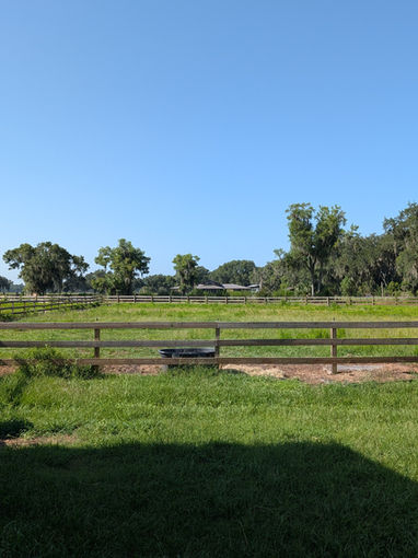 Sunny farm field with wooden fences and distant trees