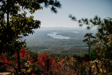 Shortoff Mtn-3992.jpg