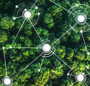 ecology-concept-with-interconnected-nature.jpg
