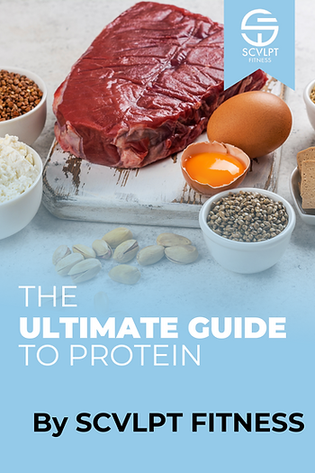 The Ultimate Guide To Protein