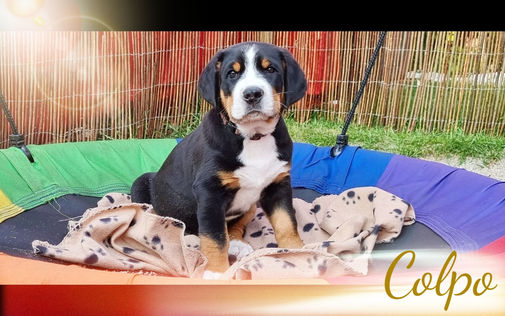 WB7 Colpo_edited_edited_edited.jpg