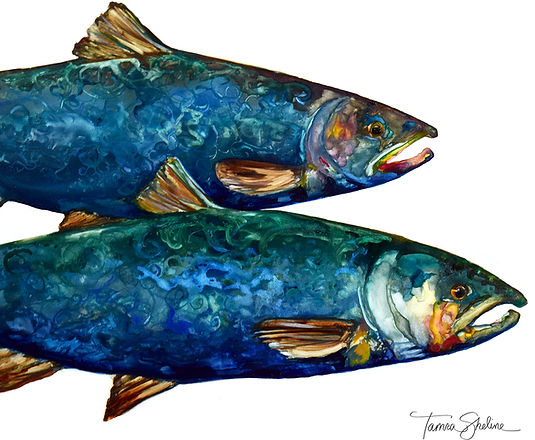 Out of the Blue (Salmon)LR.jpg