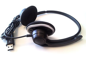 Earphones