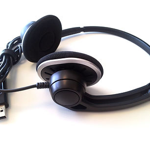 Earphones