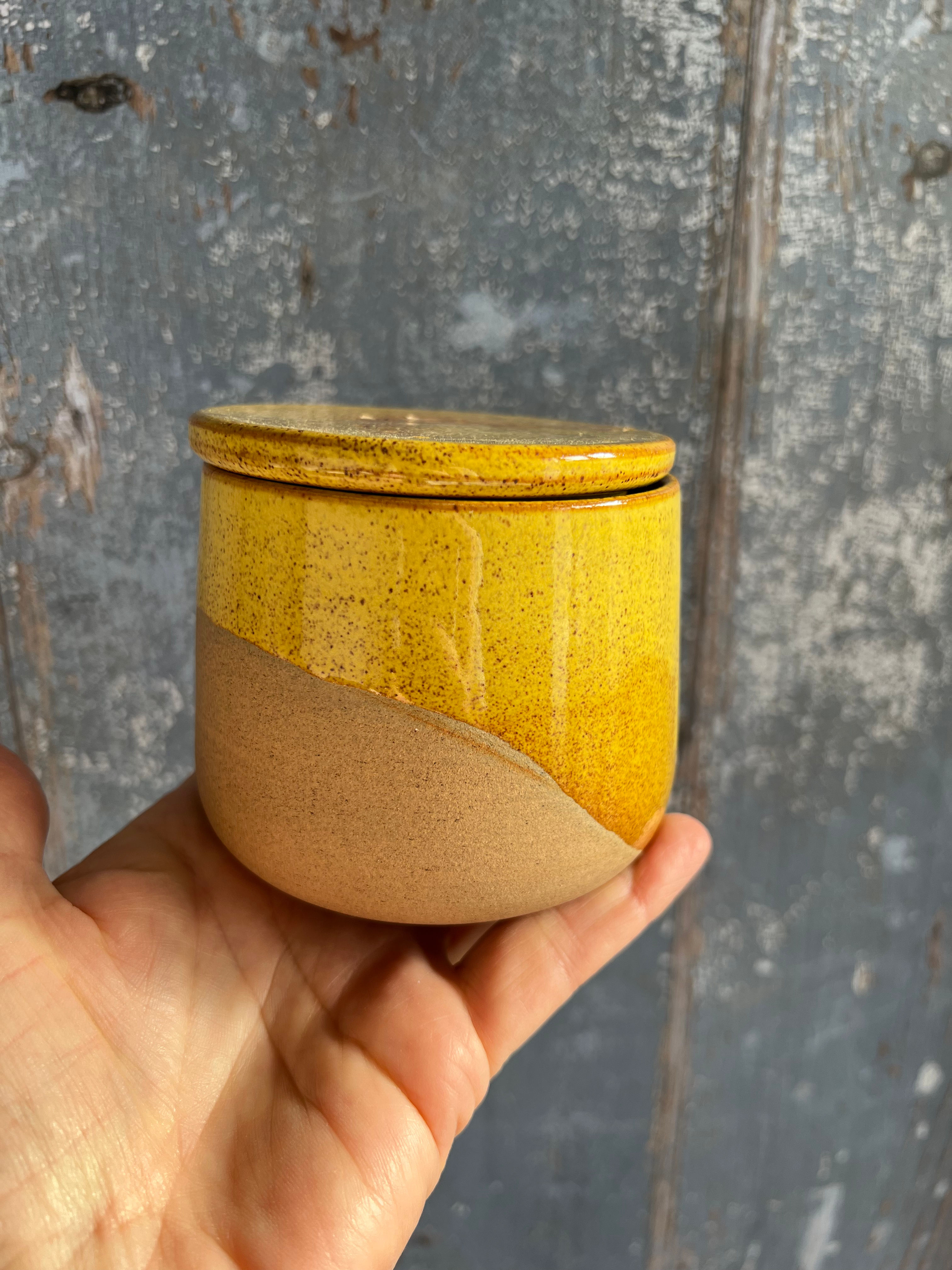 Beurrier à eau jaune mourarde