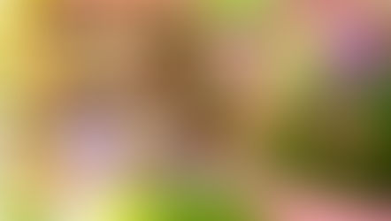 Summer Outdoor Entertainment Fun