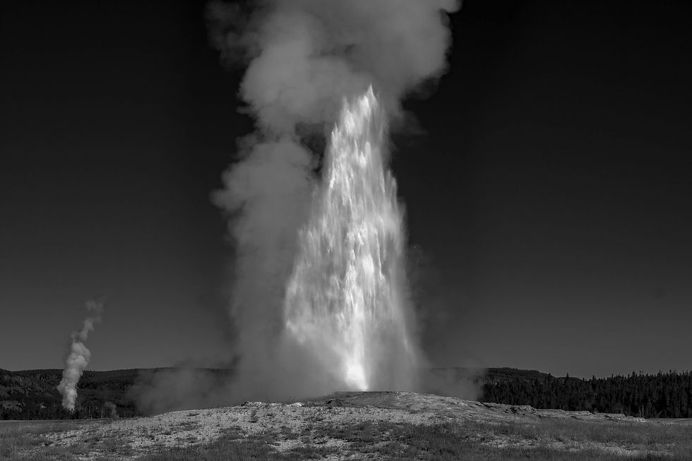 Old Faithful B/W