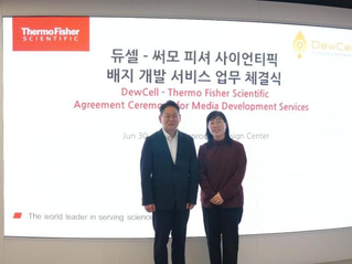 Korean biotech firm DewCell partners with Thermo Fisher on artificial platelet project