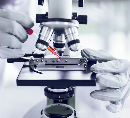 Microscope used for further diagnostics for skin, urine, and much more that is used at CardioVet Veterinary Clinic