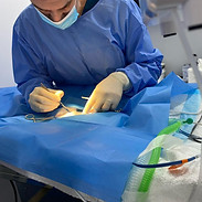 Surgeries for cats and dogs, spay, neuter